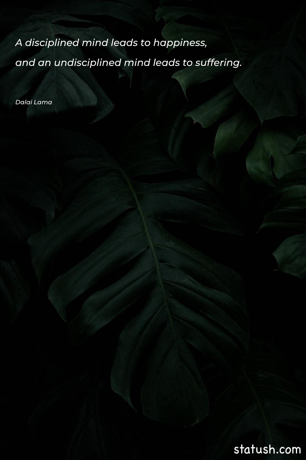 A disciplined mind leads to Happiness Quotes at statush.com