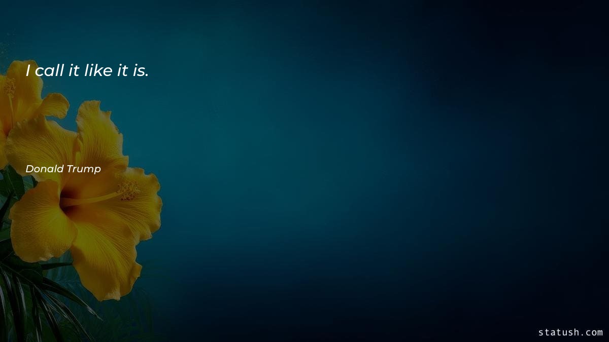 I call it like it Motivational Quotes at statush.com