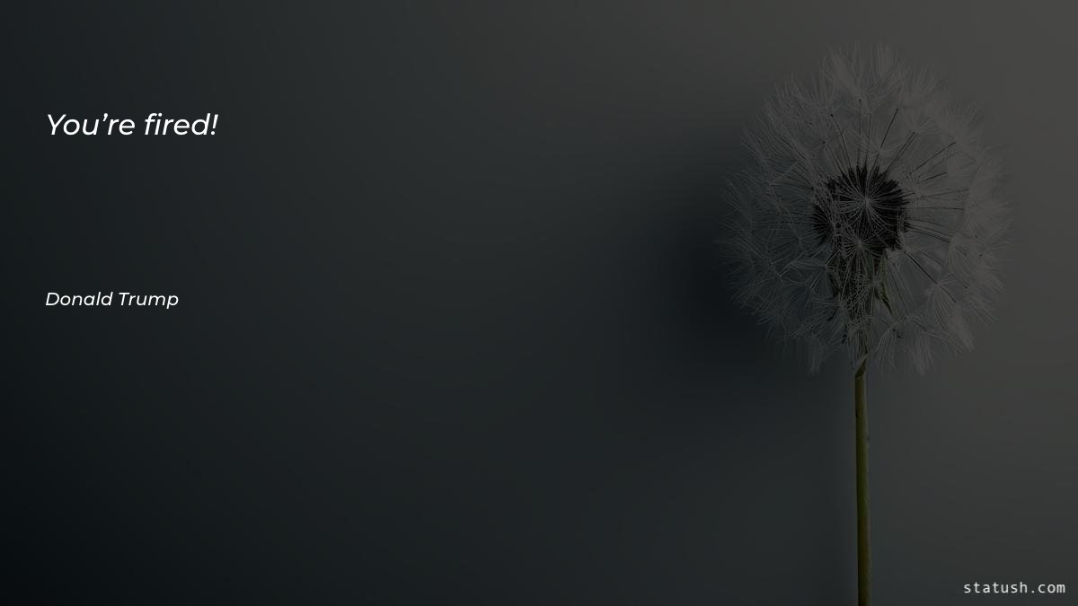 You’re fired