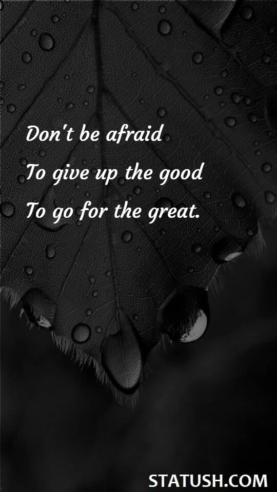 Dont be afraid to give up - Success Quotes at statush.com