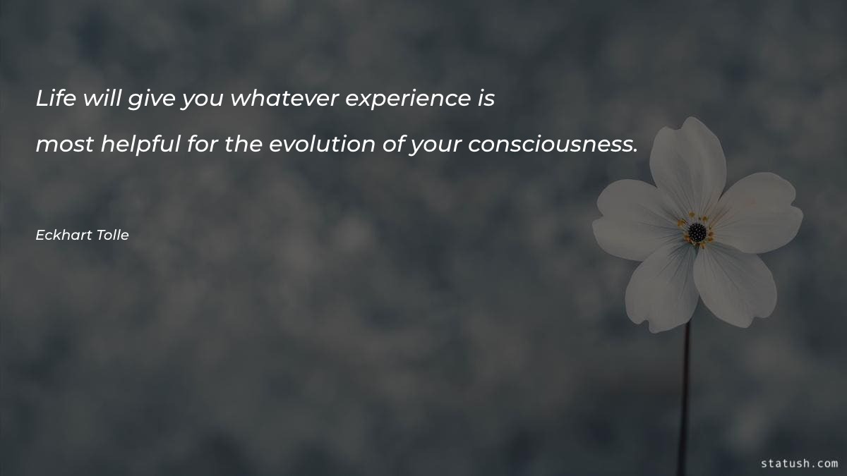 Life will give you whatever