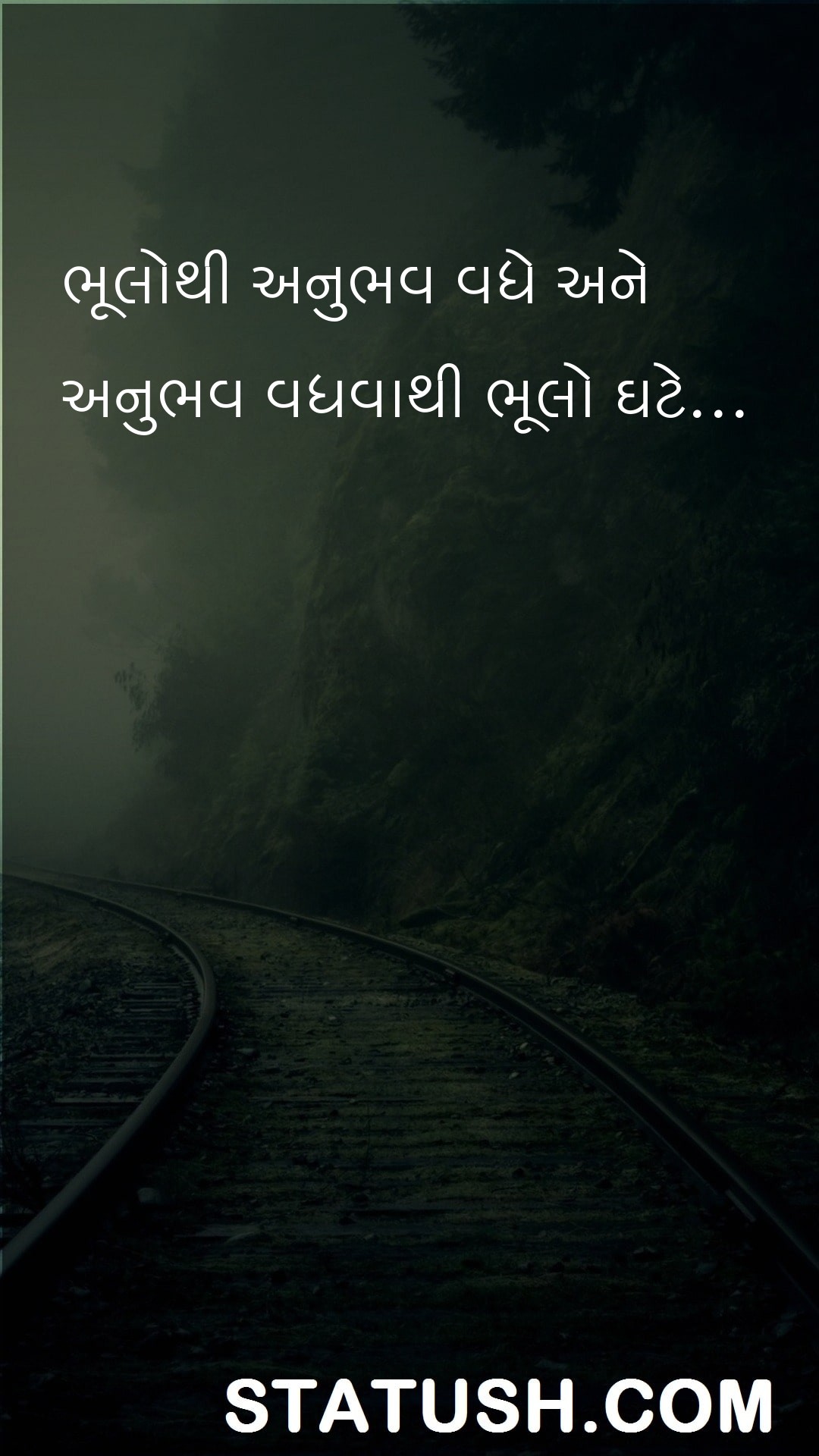 Errors increase experience Gujarati Quotes at statush.com