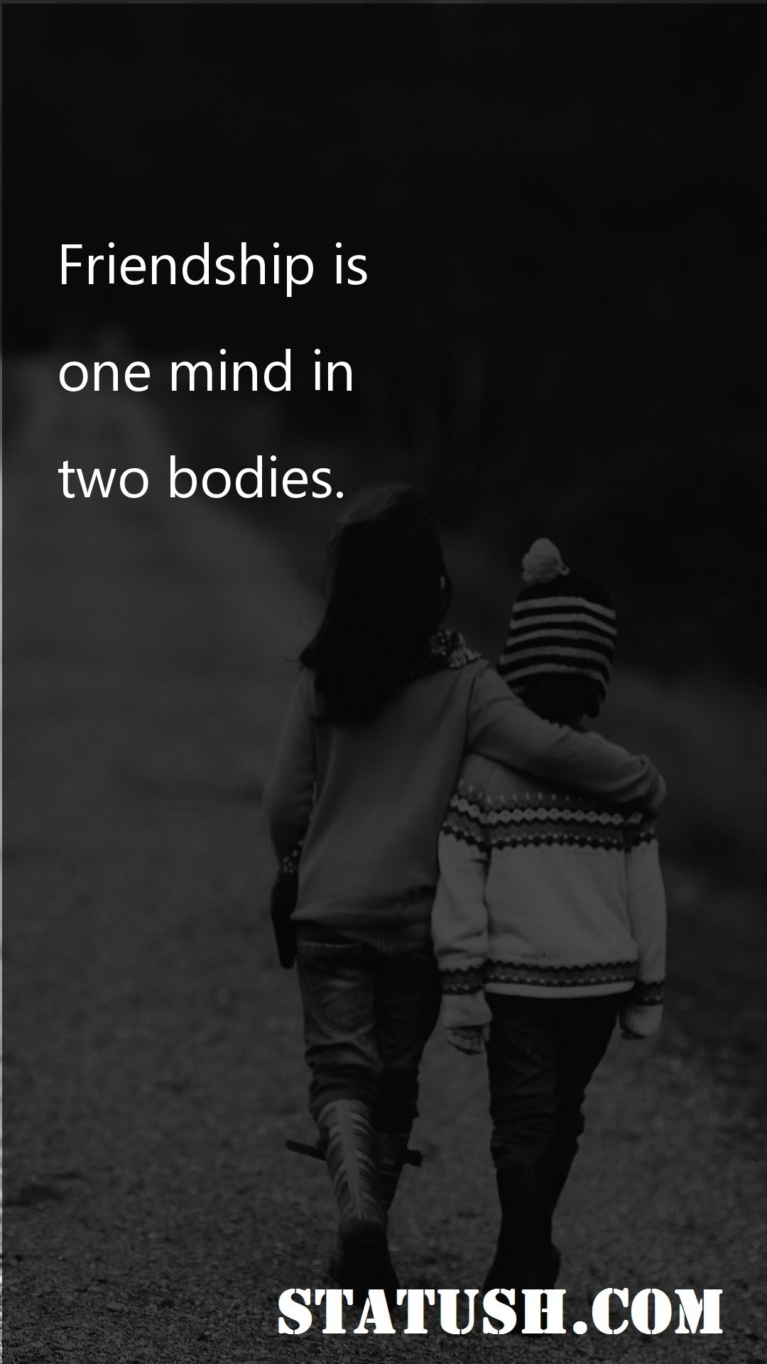 Friendship is one mind in two bodies - Friendship Quotes at statush.com