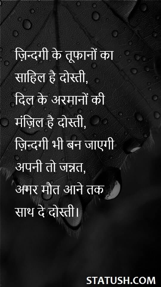 Friendship is the companion of the storms of life - Friendship Quotes at statush.com
