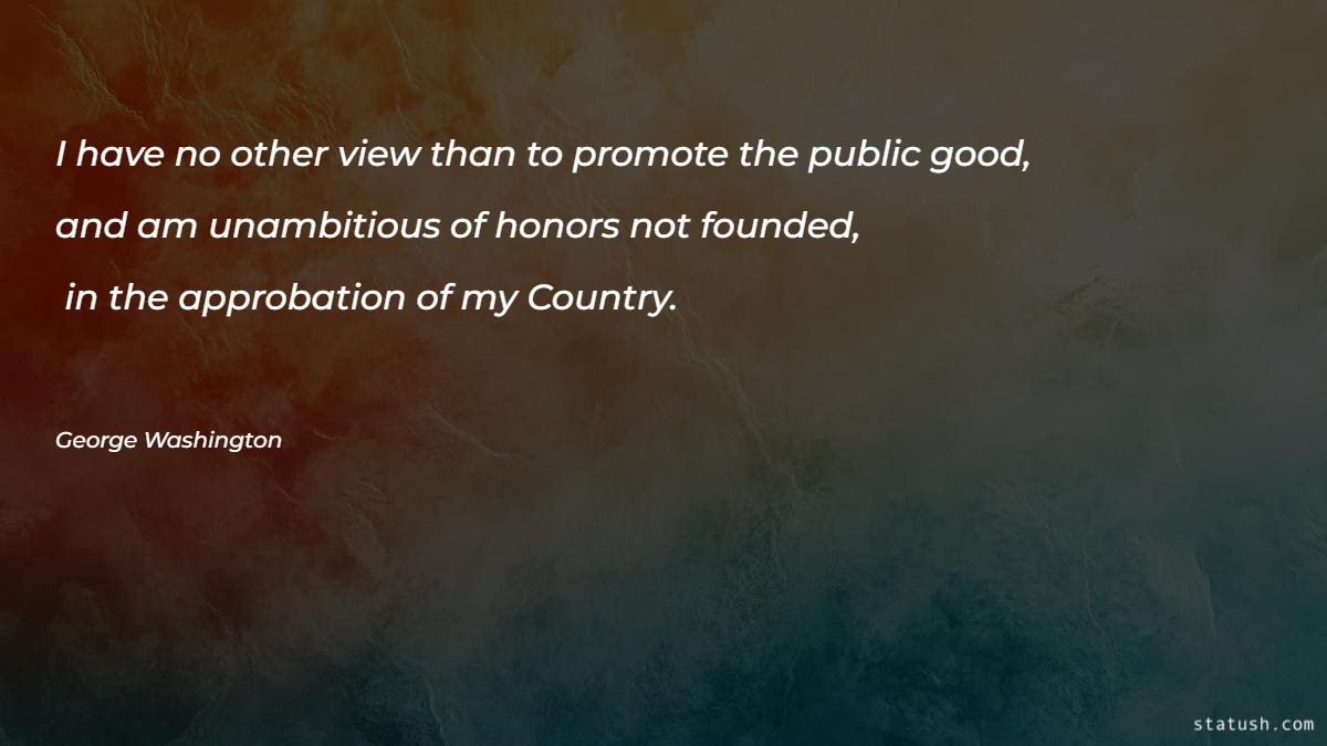 I have no other view than to promote the public good - Motivational Quotes at statush.com