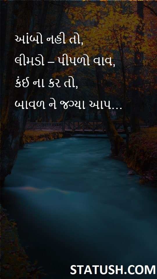 Give space to the acacia - Gujarati Quotes at statush.com