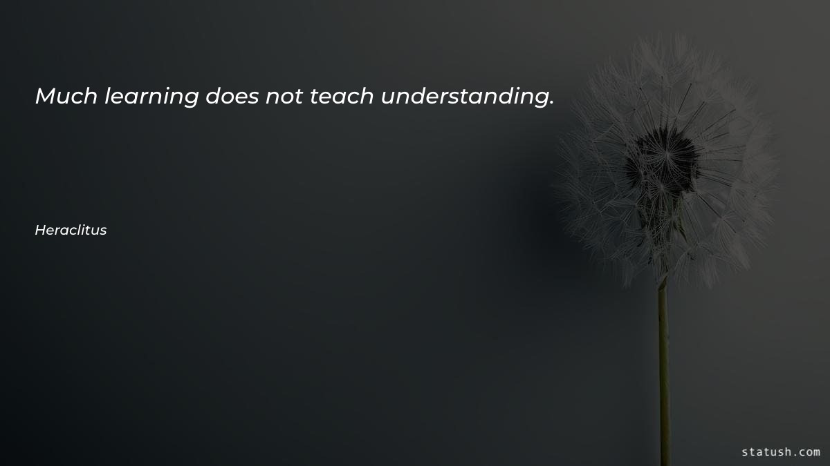 Much learning does not teach Learning Quotes at statush.com
