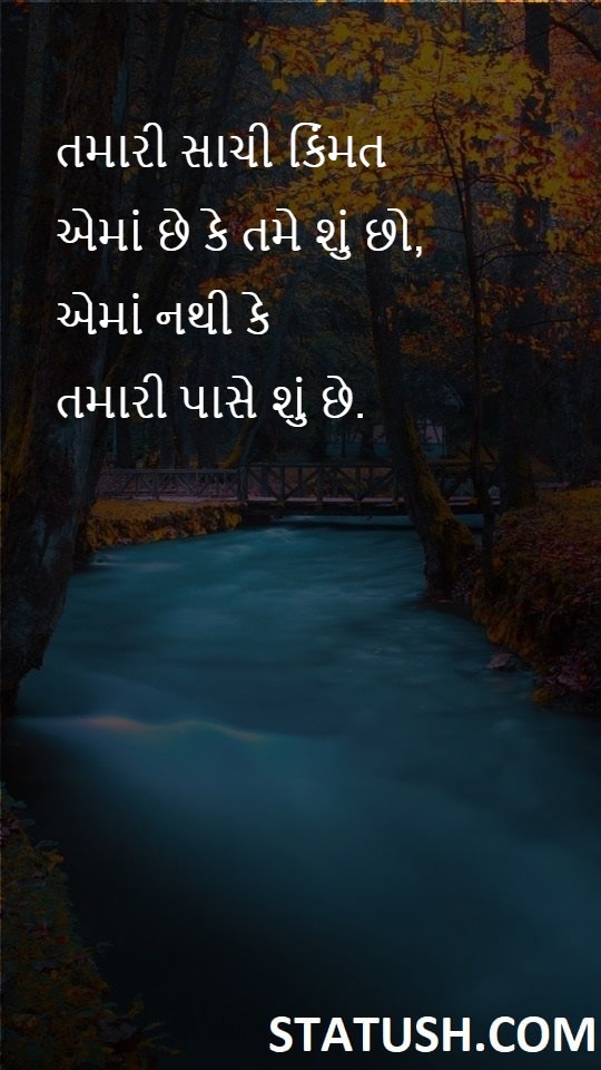 It doesnt matter what you have. Gujarati Quotes at statush.com