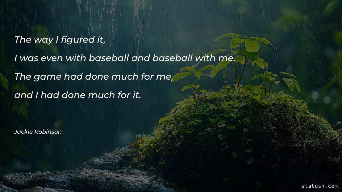 The way I figured it - Motivational Quotes at statush.com