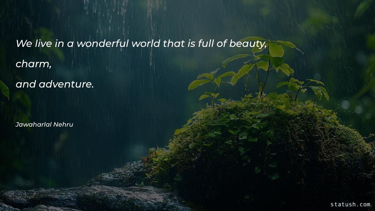 We live in a wonderful