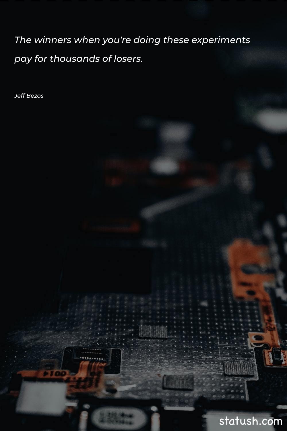 The winners when you're doing - Motivational Quotes at statush.com