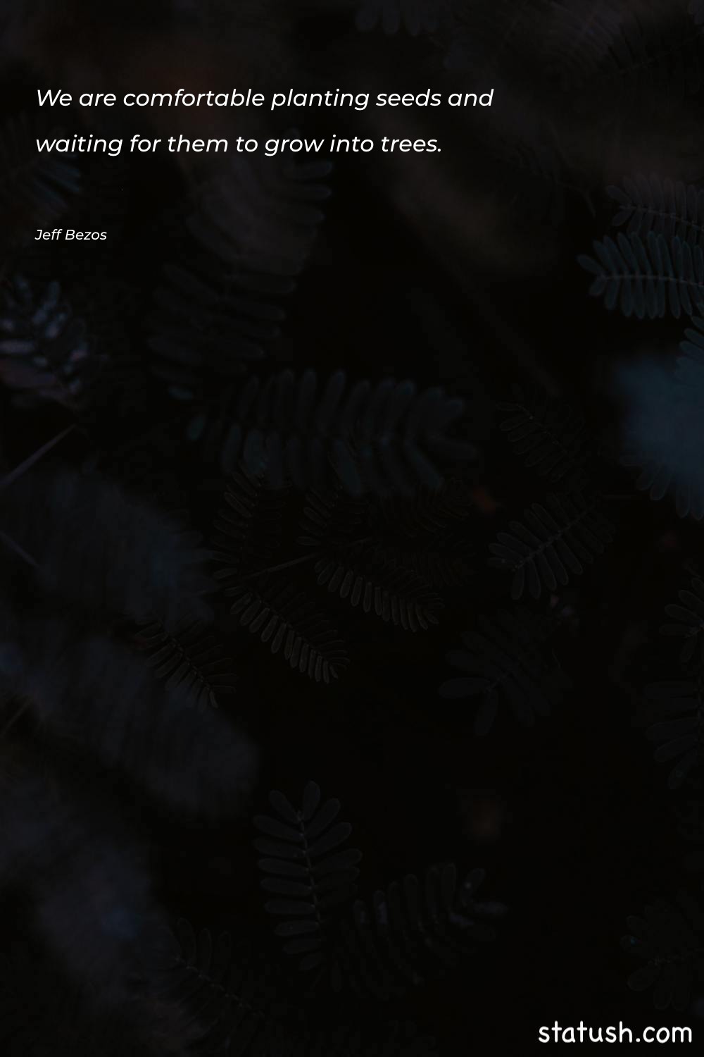 We are comfortable planting seeds