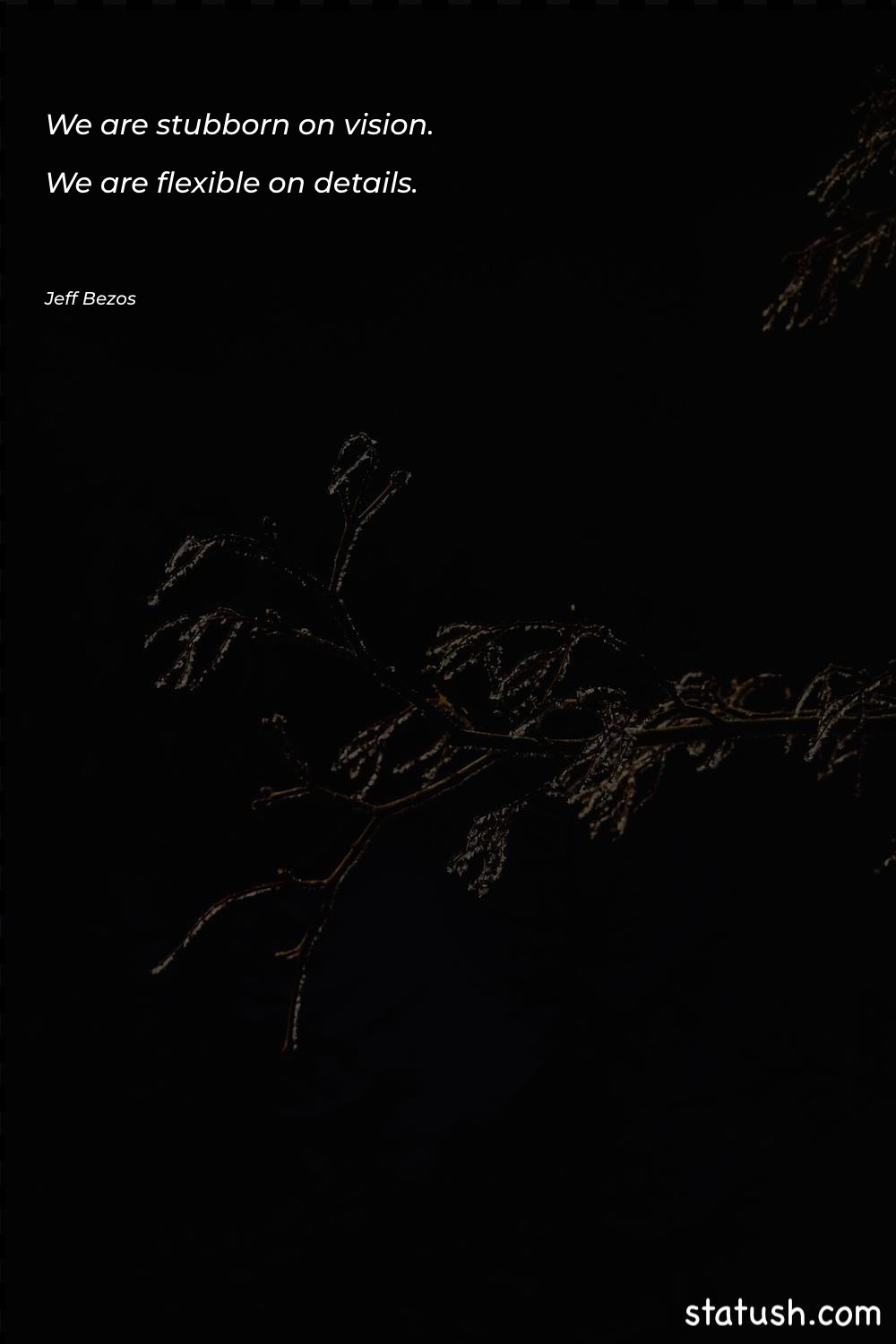 We are stubborn on vision