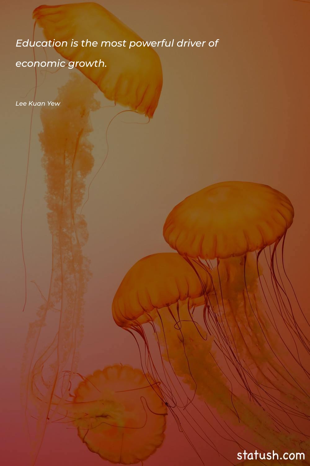 Education is the most powerful