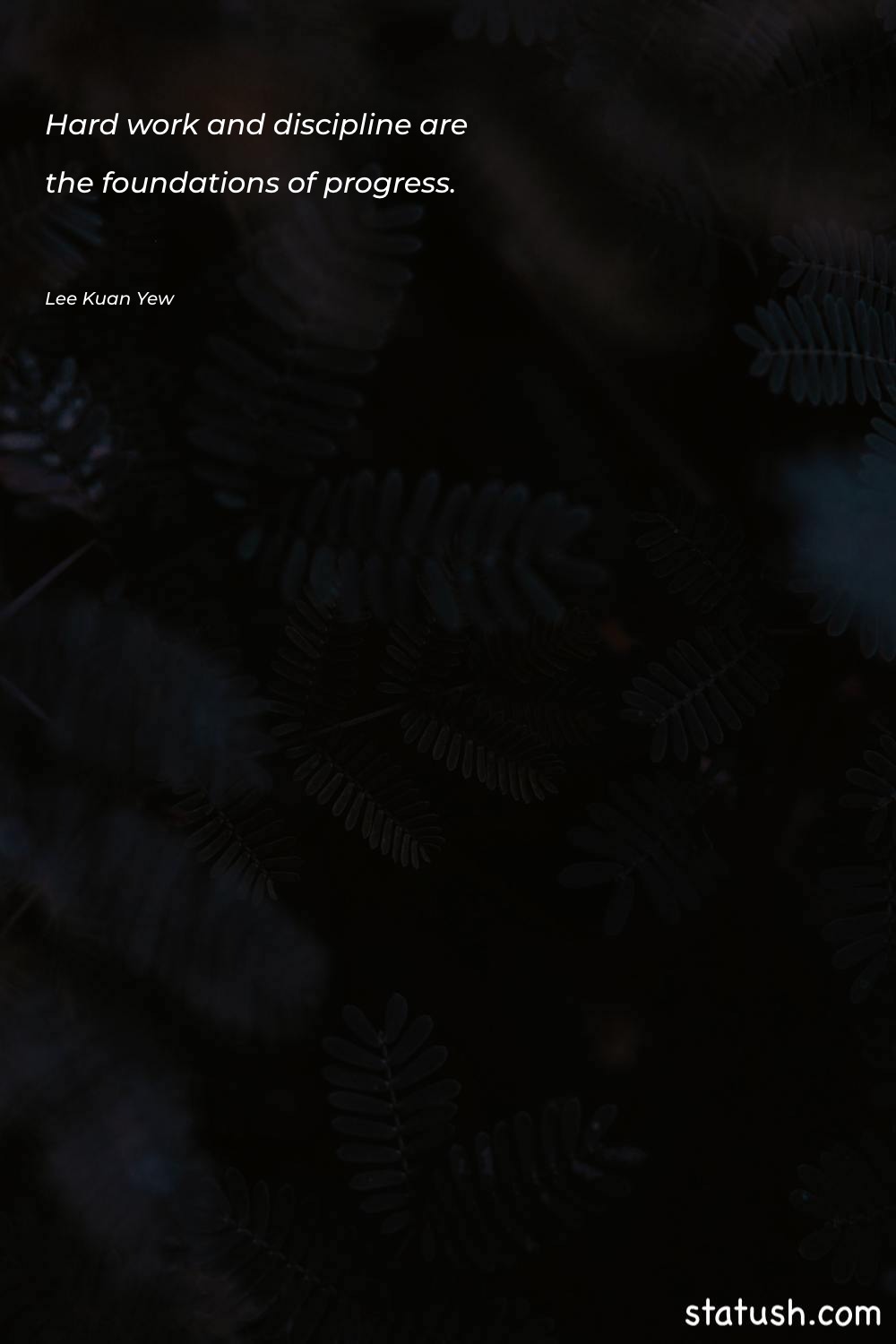 Hard work and discipline are Learning Quotes at statush.com