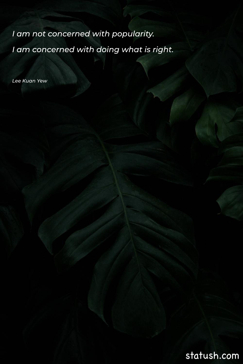 I am not concerned with