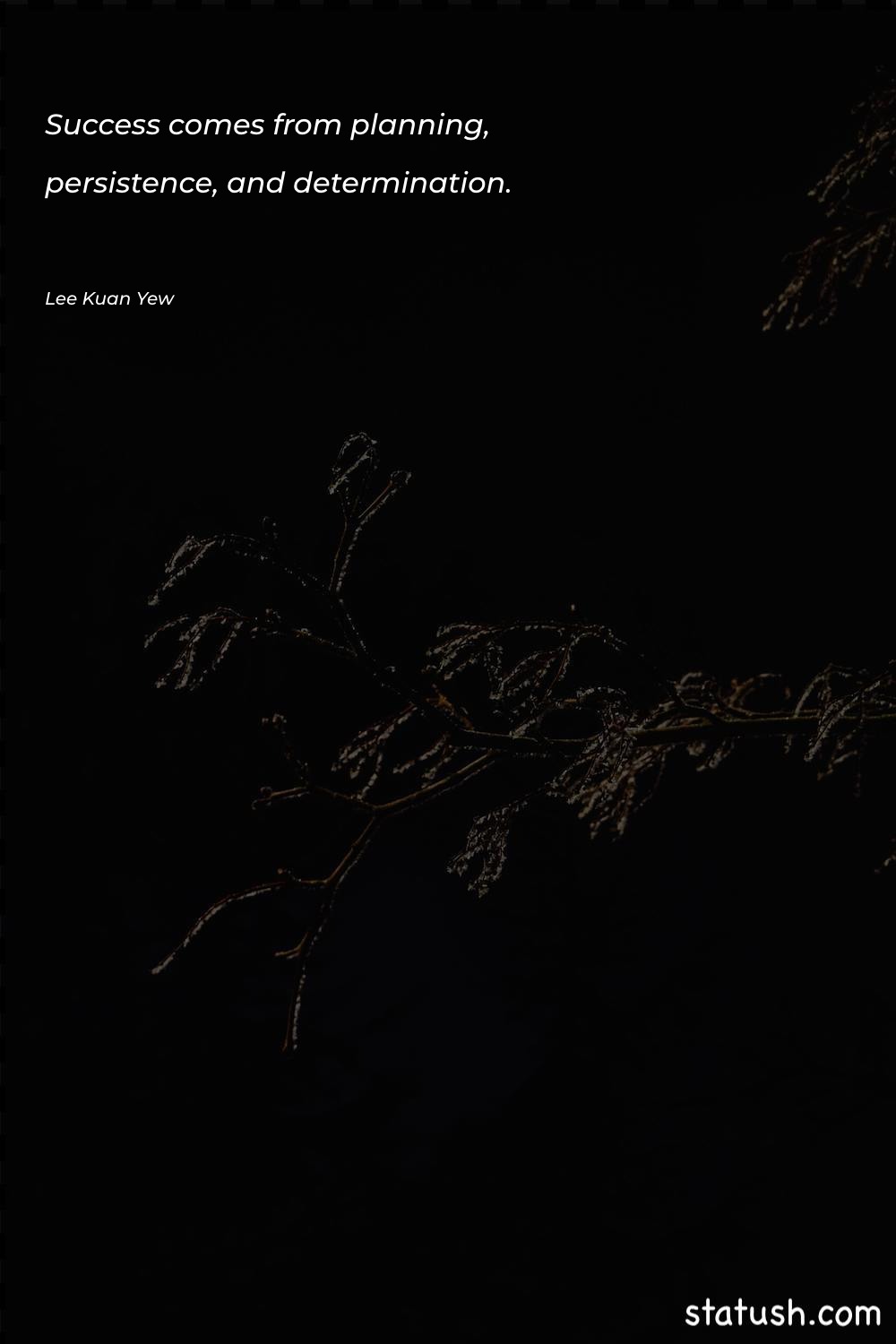 Success comes from planning, persistence