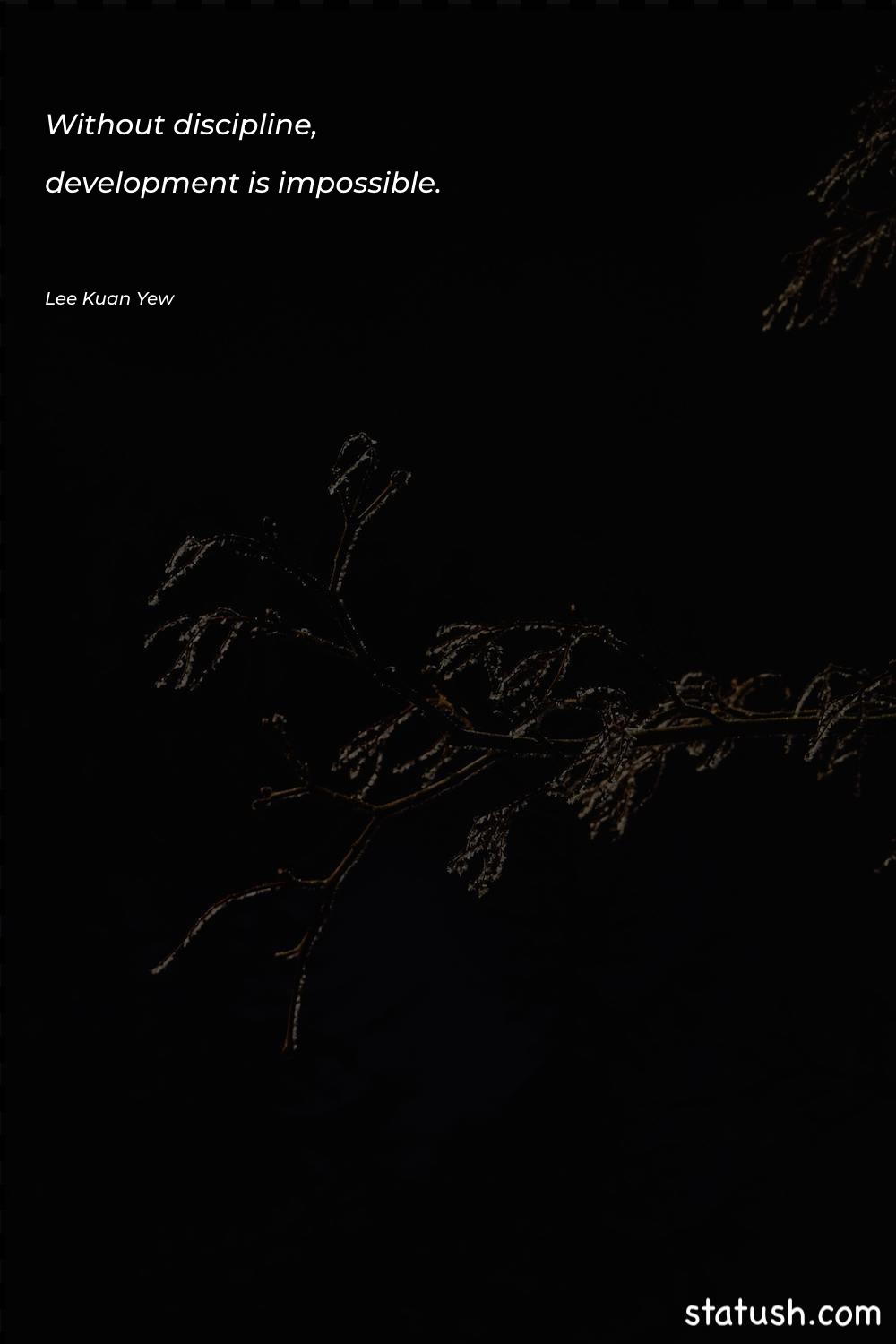 Without discipline, development is impossible Amazing Quotes at statush.com