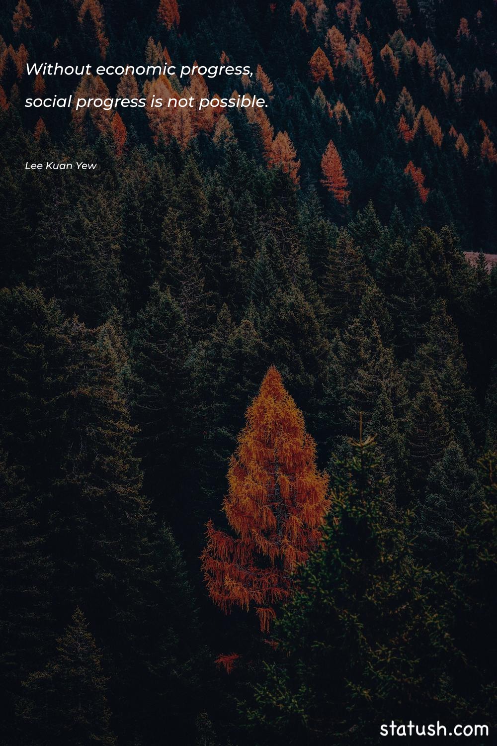 Without economic progress, social progress History Quotes at statush.com