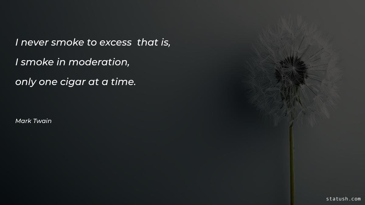 I never smoke to excess - that is - Motivational Quotes at statush.com