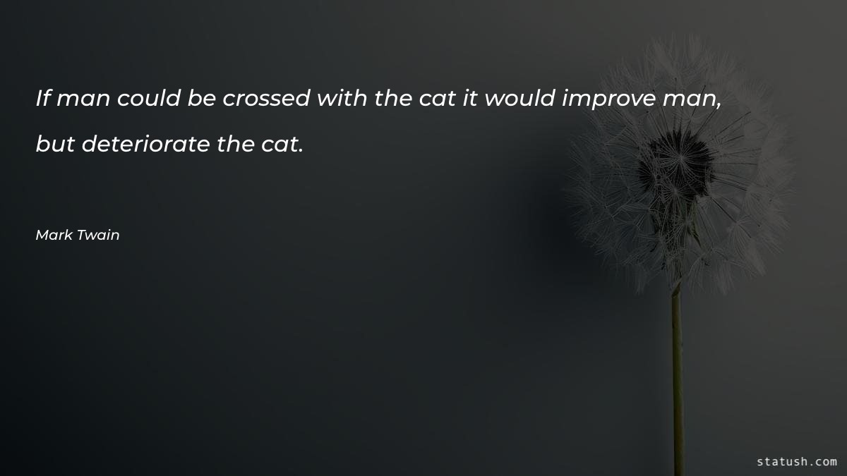 If man could be crossed with the cat Motivational Quotes at statush.com