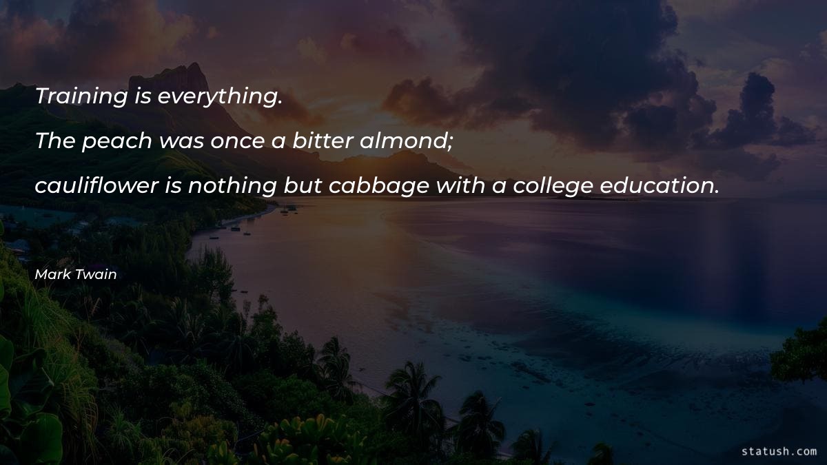 Training is everything Motivational Quotes at statush.com