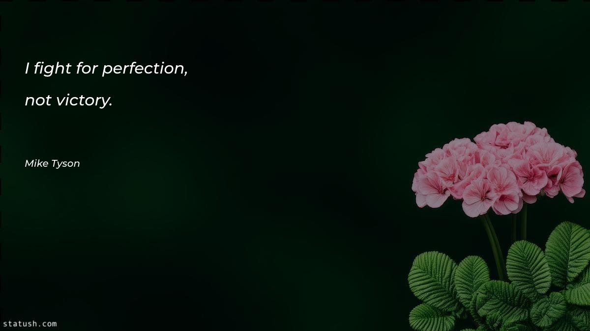 I fight for perfection, not
