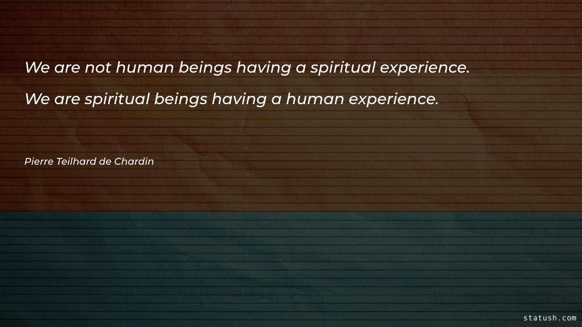 We are not human beings Motivational Quotes at statush.com