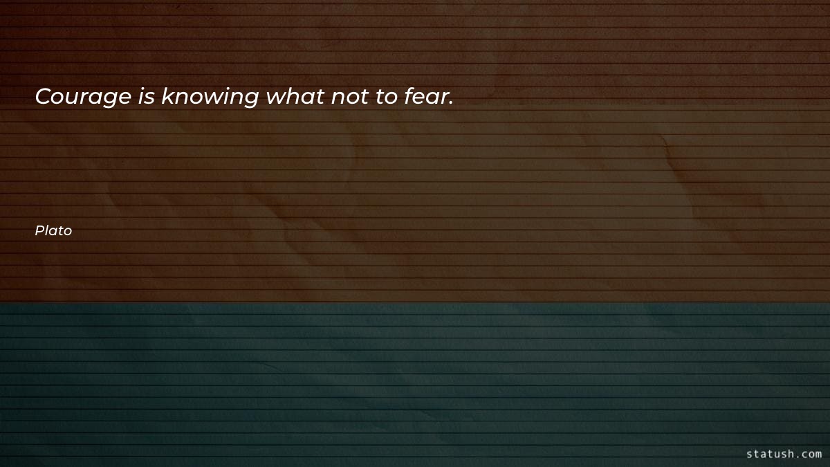 Courage is knowing what not