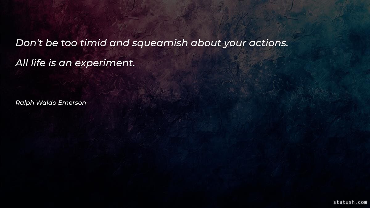 Don't be too timid and squeamish Motivational Quotes at statush.com