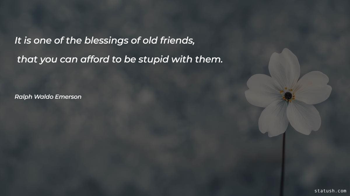 It is one of the blessings of old friends - Motivational Quotes at statush.com