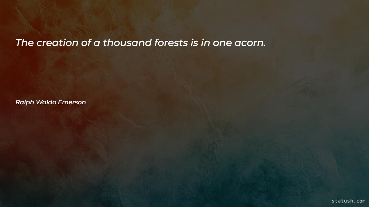 The creation of a thousand forests is in one acorn Motivational Quotes at statush.com
