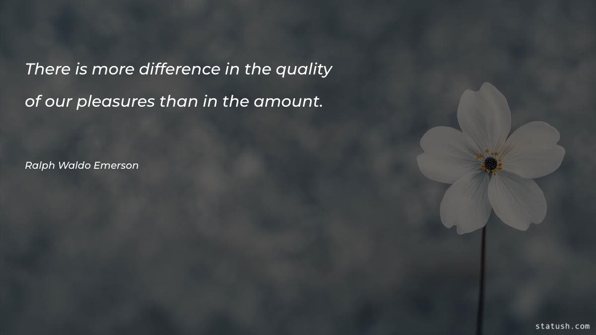 There is more difference in the quality Motivational Quotes at statush.com