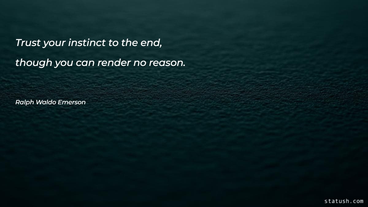 Trust your instinct to the end Motivational Quotes at statush.com