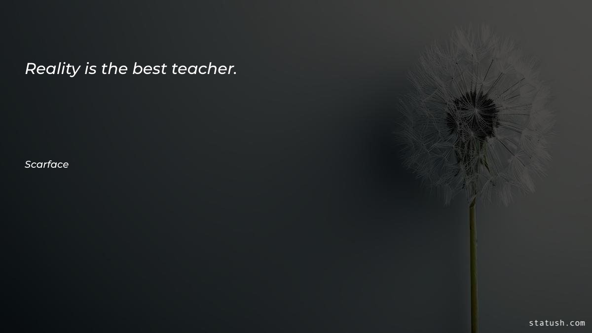 Reality is the best teacher