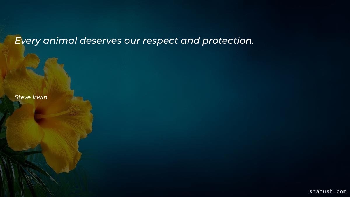 Every animal deserves our respect