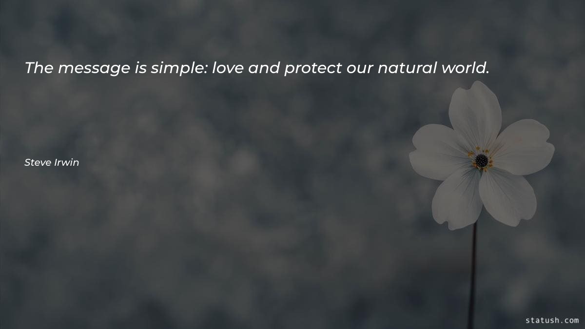 The message is simple: love Motivational Quotes at statush.com