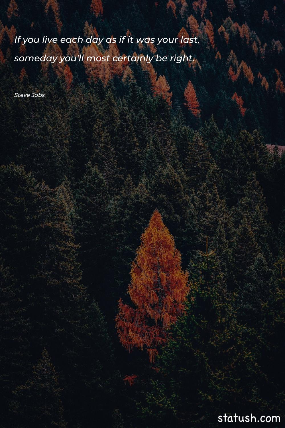 If you live each day