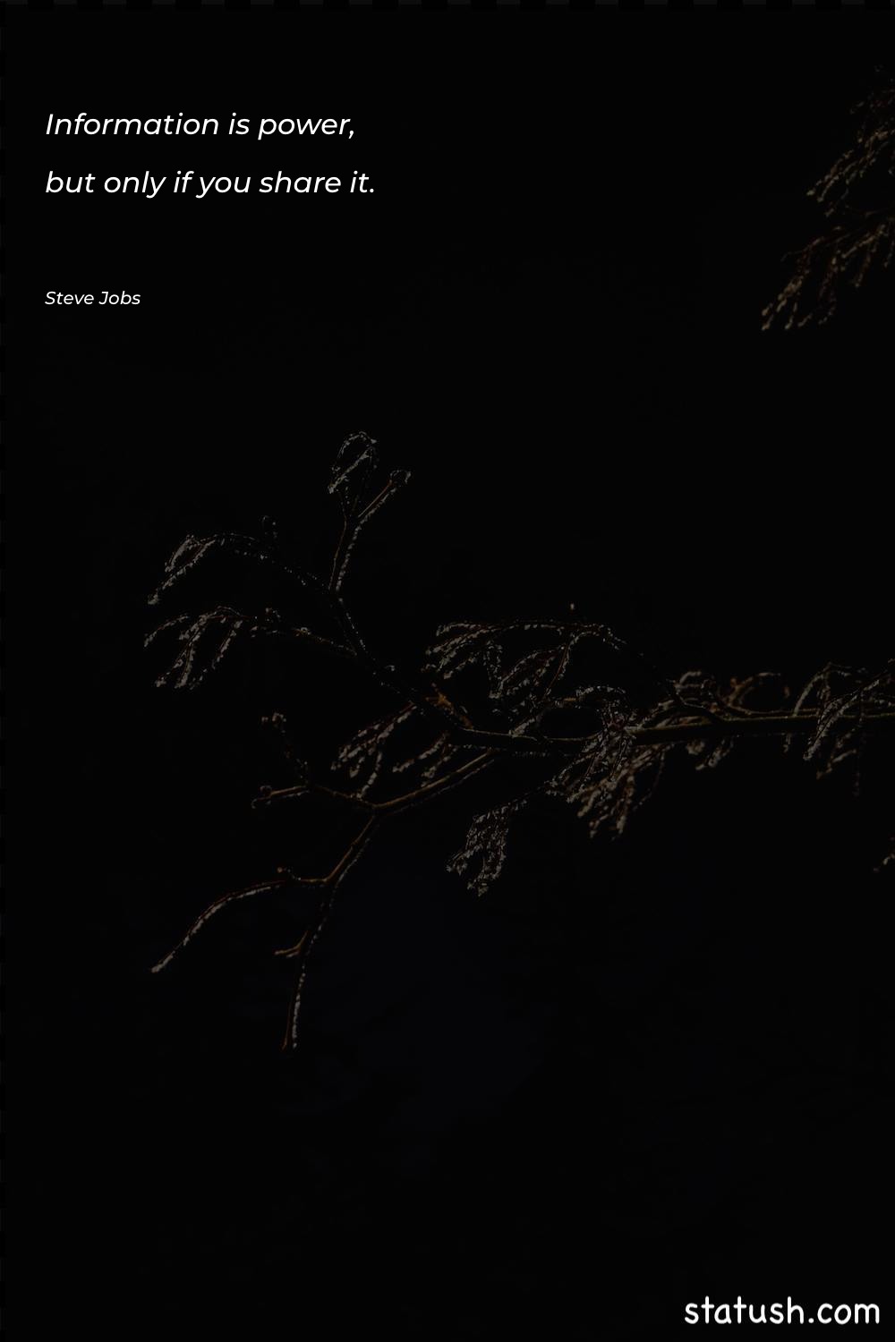 Information is power, but only - Motivational Quotes at statush.com