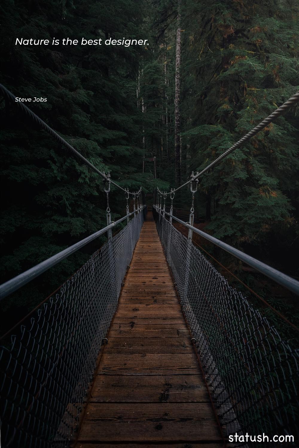 Nature is the best designer