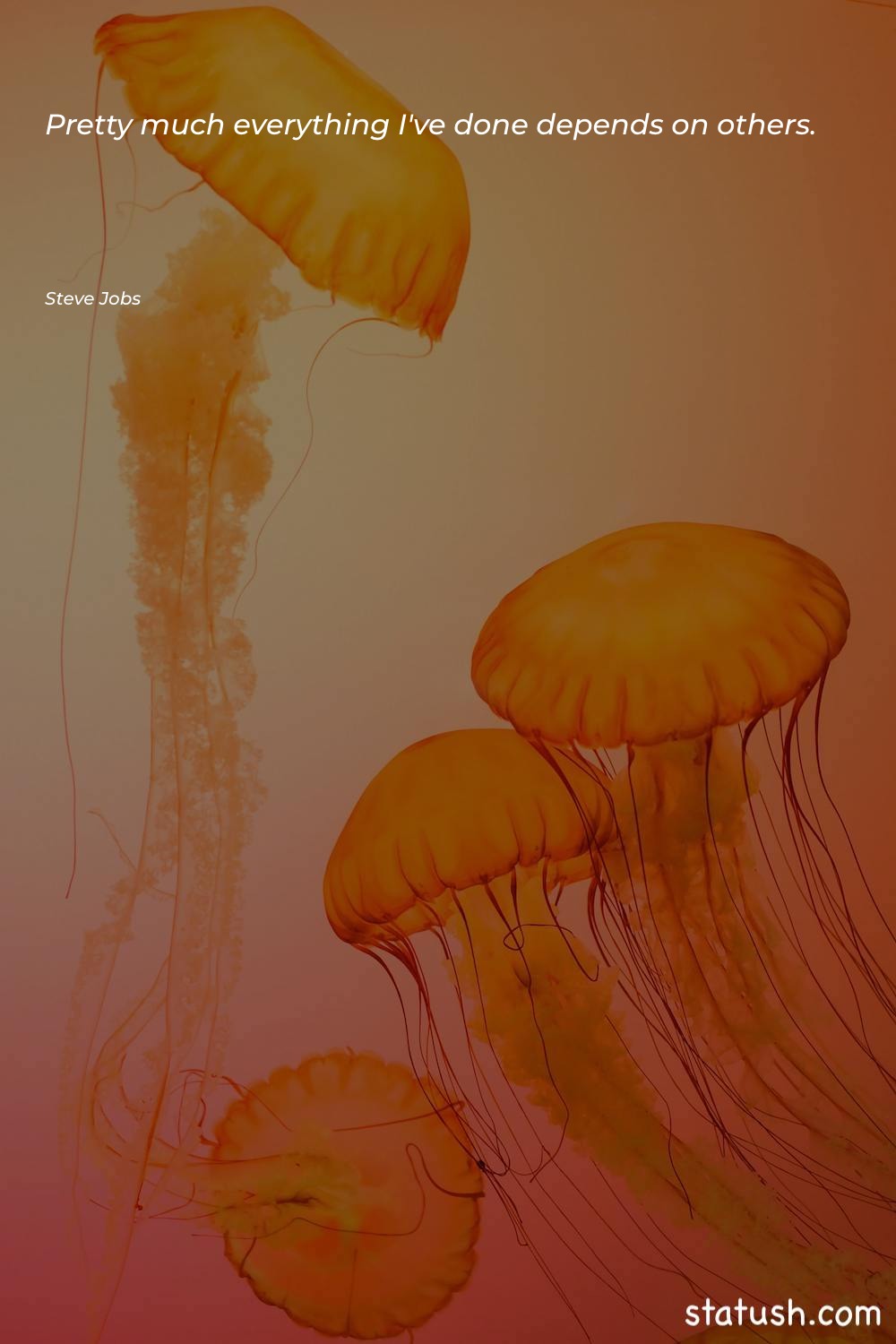 Pretty much everything I've done