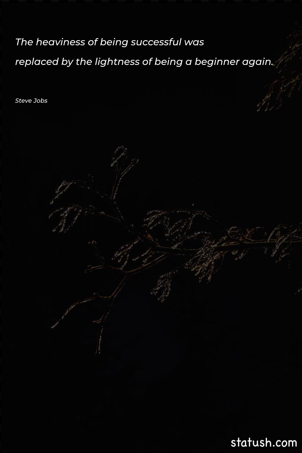 The heaviness of being successful - Motivational Quotes at statush.com