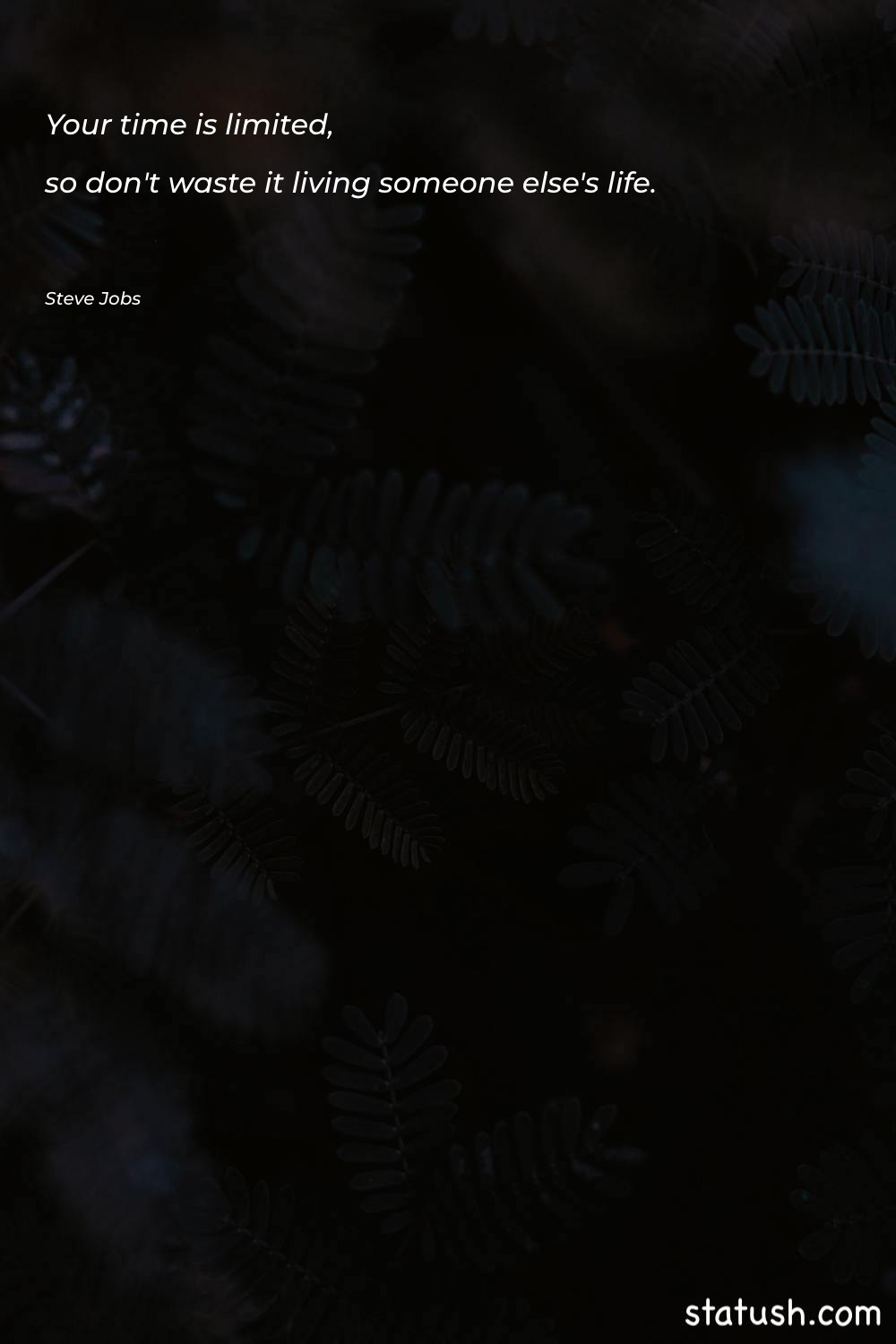 Your time is limited, so