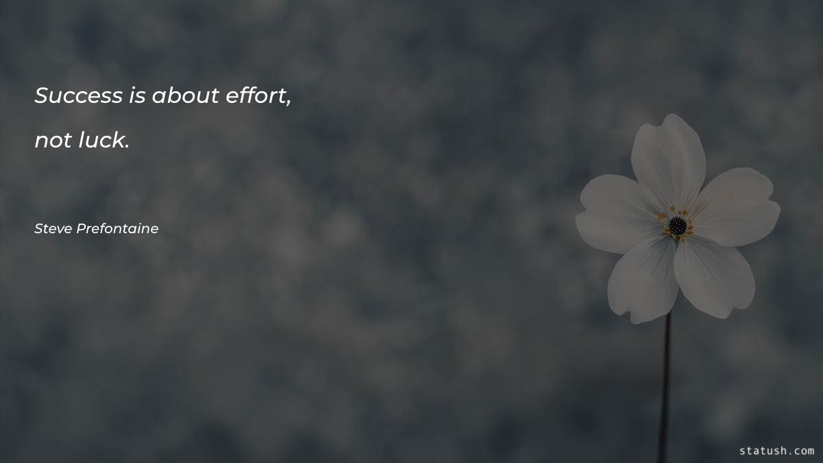 Success is about effort, not Motivational Quotes at statush.com