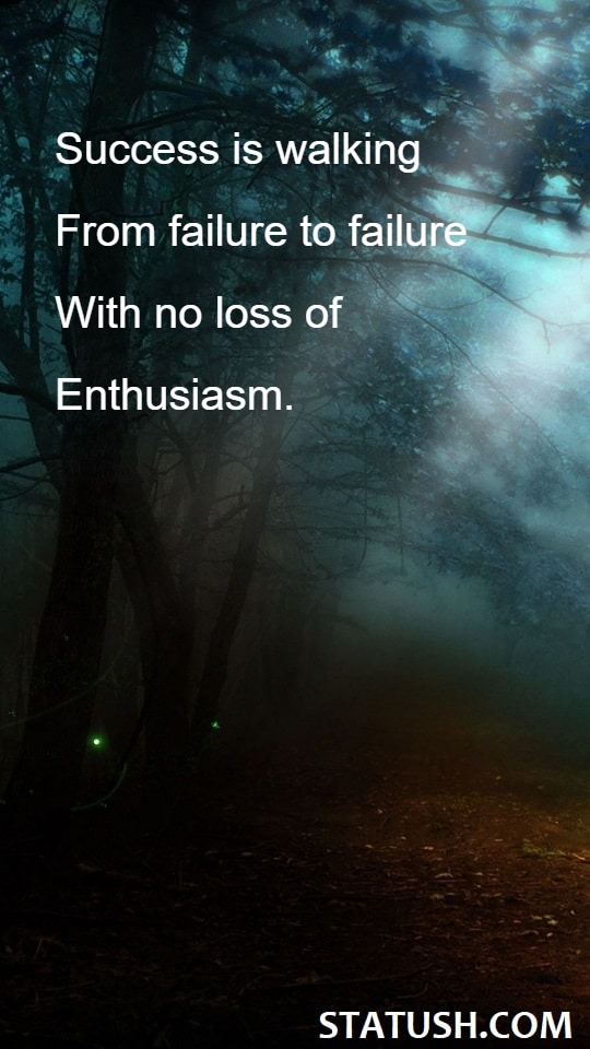 Success is walking from failure - Success Quotes at statush.com