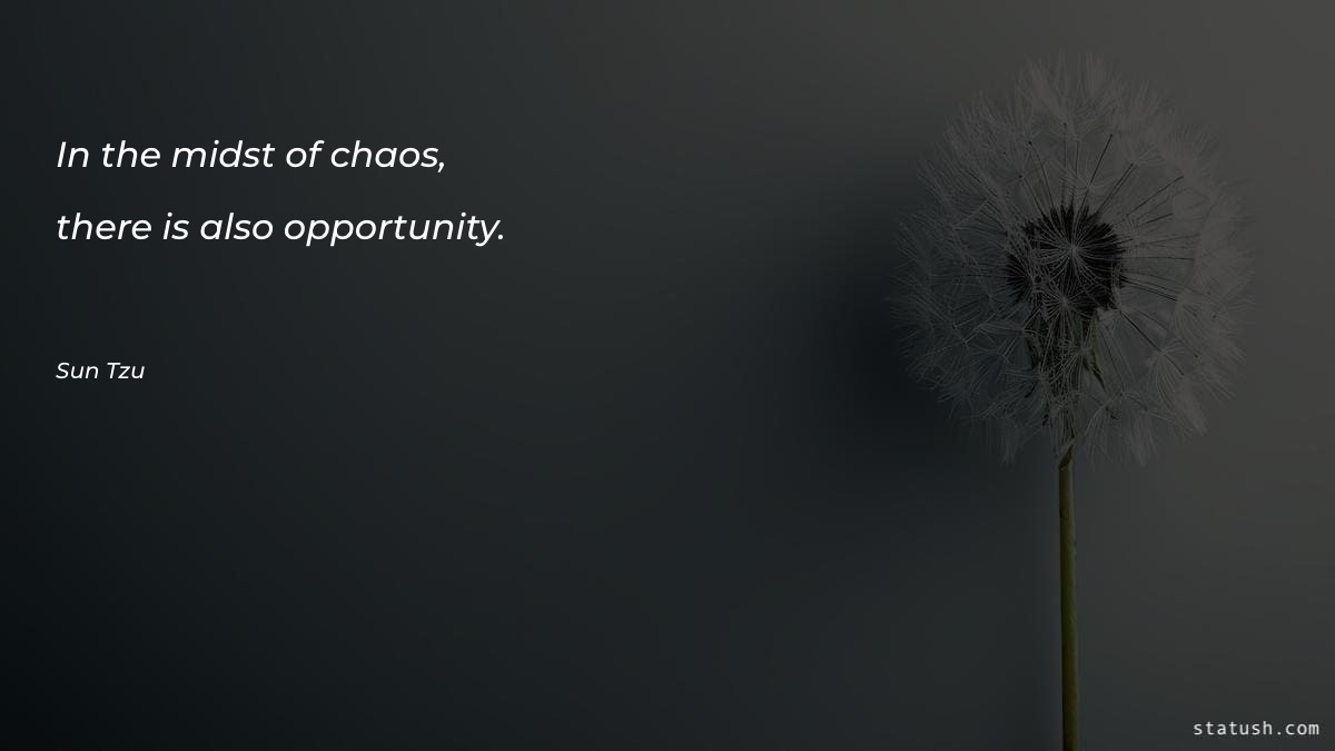 In the midst of chaos