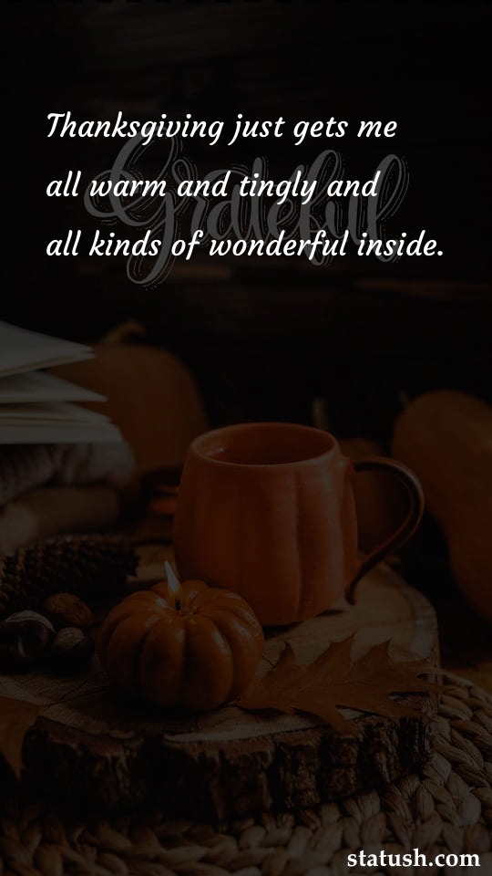 Thanksgiving just gets me all warm and tingly - Thanksgiving Quotes at statush.com
