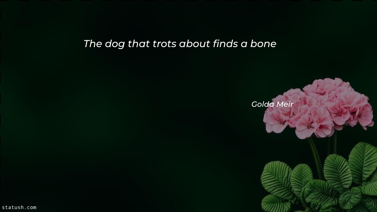 The dog that trots about finds a bone - Motivational Quotes at statush.com