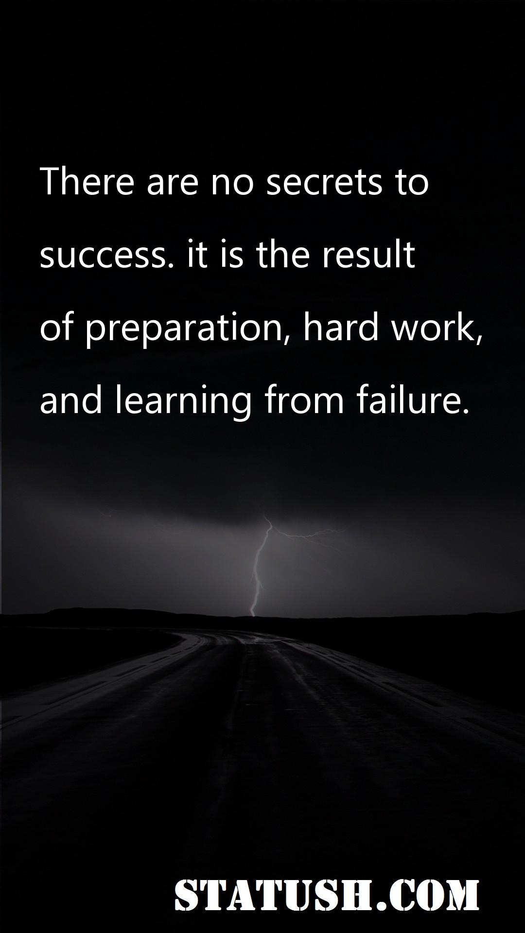 There are no secrets to success - Success Quotes at statush.com