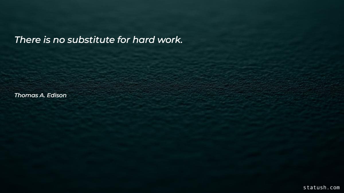 There is no substitute for hard work - Motivational Quotes at statush.com